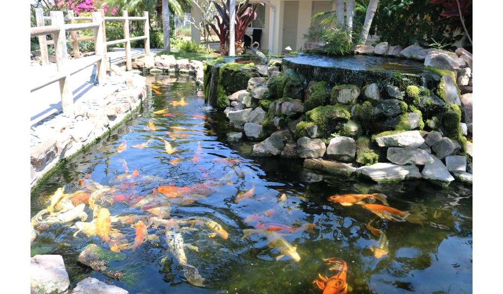 water purification systems